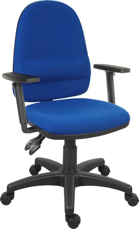 Ergo Twin Blue & Step Adj Arms